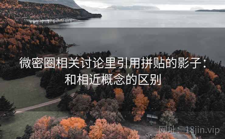 微密圈相关讨论里引用拼贴的影子：和相近概念的区别