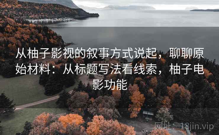从柚子影视的叙事方式说起，聊聊原始材料：从标题写法看线索，柚子电影功能
