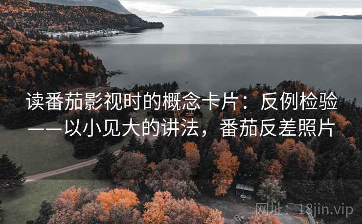读番茄影视时的概念卡片：反例检验——以小见大的讲法，番茄反差照片